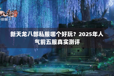 新天龙八部私服哪个好玩?2025年人气前五服真实测评 新天龙八部私服哪个好玩?2025年人气前五服真实测评