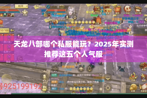 天龙八部哪个私服能玩？2025年实测推荐这五个人气服