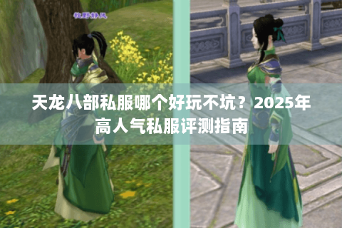 天龙八部私服哪个好玩不坑?2025年高人气私服评测指南 天龙八部私服哪个好玩不坑?2025年高人气私服评测指南