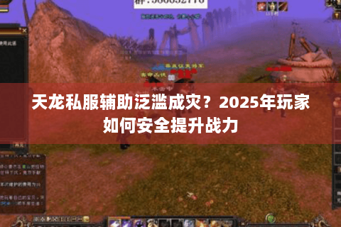 天龙私服辅助泛滥成灾？2025年玩家如何安全提升战力