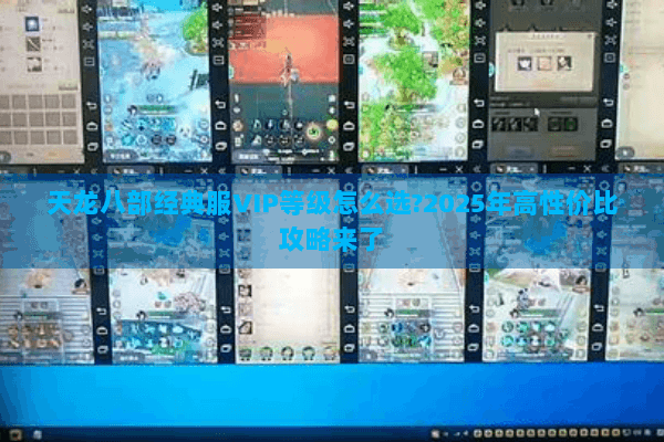 天龙八部经典服VIP等级怎么选?2025年高性价比攻略来了
