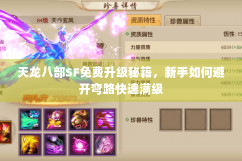 天龙八部SF免费升级秘籍,新手如何避开弯路快速满级 天龙八部SF免费升级秘籍,新手如何避开弯路快速满级