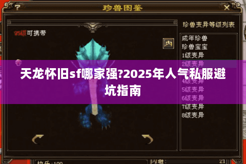 天龙怀旧sf哪家强?2025年人气私服避坑指南 天龙怀旧sf哪家强?2025年人气私服避坑指南