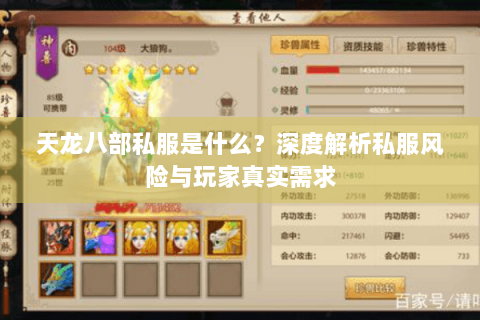 天龙八部私服是什么?深度解析私服风险与玩家真实需求 天龙八部私服是什么?深度解析私服风险与玩家真实需求
