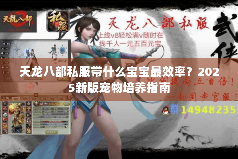 天龙八部私服带什么宝宝最效率？2025新版宠物培养指南