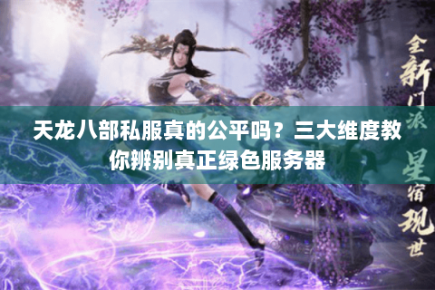 天龙八部私服真的公平吗？三大维度教你辨别真正绿色服务器