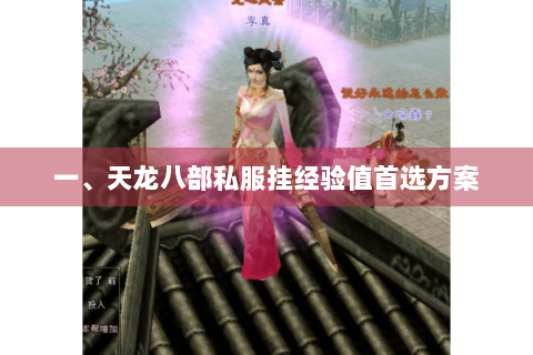 一、天龙八部私服挂经验值首选方案
