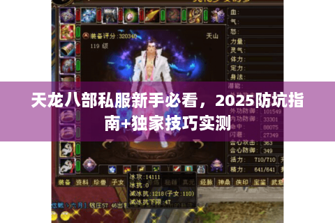 天龙八部私服新手必看，2025防坑指南+独家技巧实测