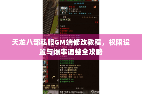 天龙八部私服GM端修改教程,权限设置与爆率调整全攻略 天龙八部私服GM端修改教程,权限设置与爆率调整全攻略