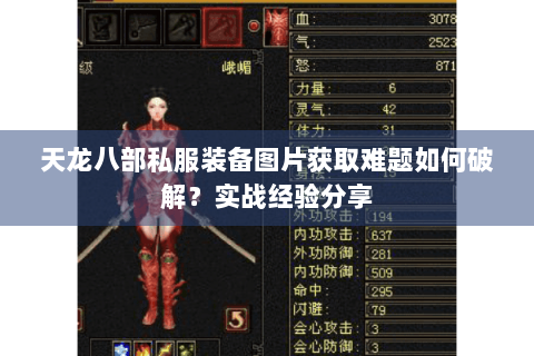 天龙八部私服装备图片获取难题如何破解?实战经验分享 天龙八部私服装备图片获取难题如何破解?实战经验分享