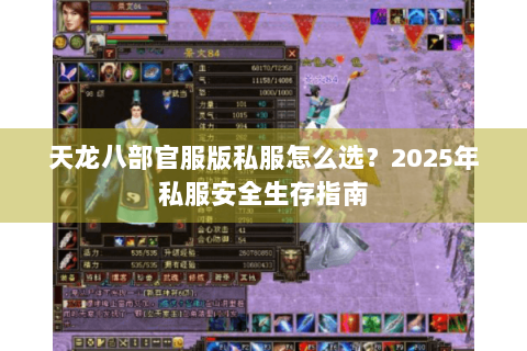 天龙八部官服版私服怎么选？2025年私服安全生存指南