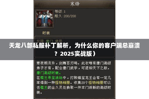 天龙八部私服补丁解析，为什么你的客户端总崩溃？2025实战版）