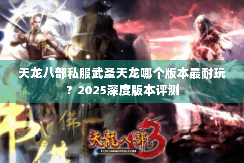 天龙八部私服武圣天龙哪个版本最耐玩？2025深度版本评测