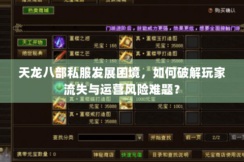 天龙八部私服发展困境，如何破解玩家流失与运营风险难题？