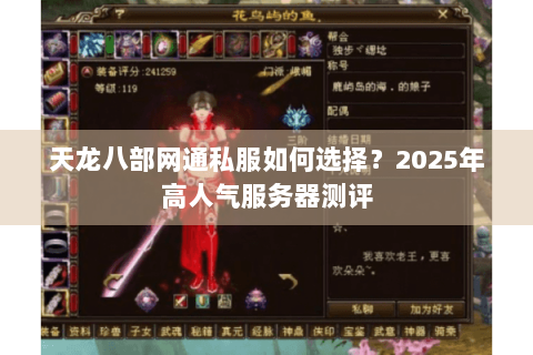 天龙八部网通私服如何选择？2025年高人气服务器测评