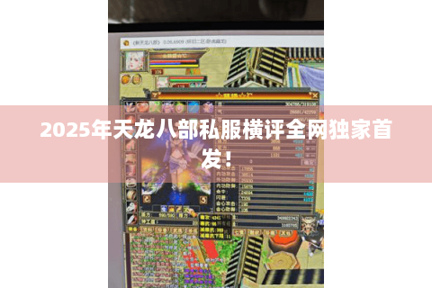 2025年天龙八部私服横评全网独家首发! 2025年天龙八部私服横评全网独家首发!