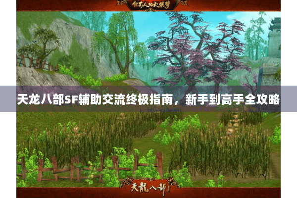 天龙八部SF辅助交流终极指南，新手到高手全攻略