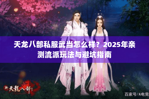 天龙八部私服武当怎么样？2025年亲测流派玩法与避坑指南