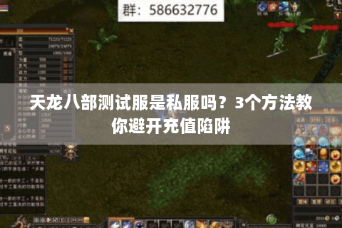 天龙八部测试服是私服吗？3个方法教你避开充值陷阱