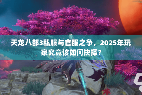 天龙八部3私服与官服之争，2025年玩家究竟该如何抉择？
