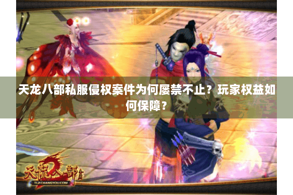 天龙八部私服侵权案件为何屡禁不止?玩家权益如何保障? 天龙八部私服侵权案件为何屡禁不止?玩家权益如何保障?