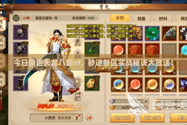 今日新区天龙八部sf，秒进新区实战秘诀大放送！