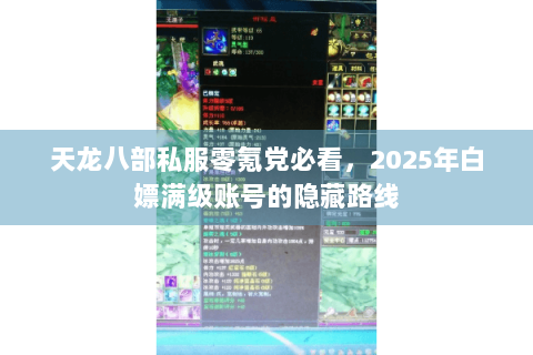 天龙八部私服零氪党必看，2025年白嫖满级账号的隐藏路线