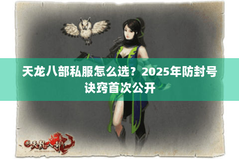 天龙八部私服怎么选？2025年防封号诀窍首次公开