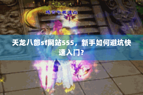 天龙八部sf网站555，新手如何避坑快速入门？