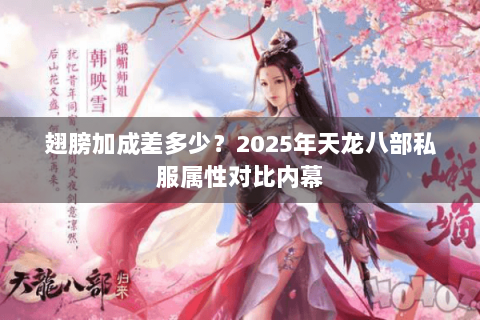 翅膀加成差多少？2025年天龙八部私服属性对比内幕