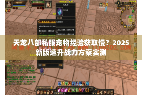 天龙八部私服宠物经验获取慢?2025新版速升战力方案实测 天龙八部私服宠物经验获取慢?2025新版速升战力方案实测