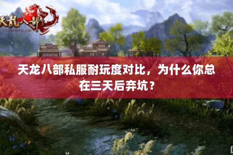 天龙八部私服耐玩度对比,为什么你总在三天后弃坑? 天龙八部私服耐玩度对比,为什么你总在三天后弃坑?
