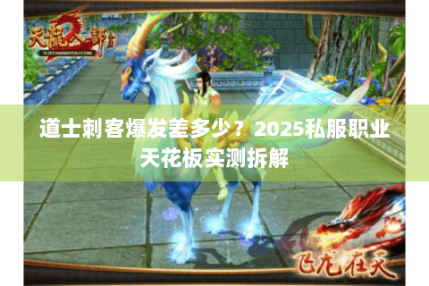 道士刺客爆发差多少？2025私服职业天花板实测拆解