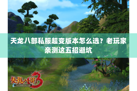 天龙八部私服超变版本怎么选？老玩家亲测这五招避坑