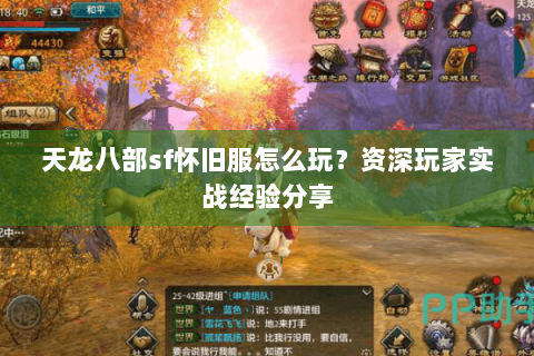 天龙八部sf怀旧服怎么玩?资深玩家实战经验分享 天龙八部sf怀旧服怎么玩?资深玩家实战经验分享