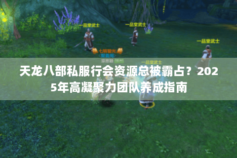 天龙八部私服行会资源总被霸占？2025年高凝聚力团队养成指南