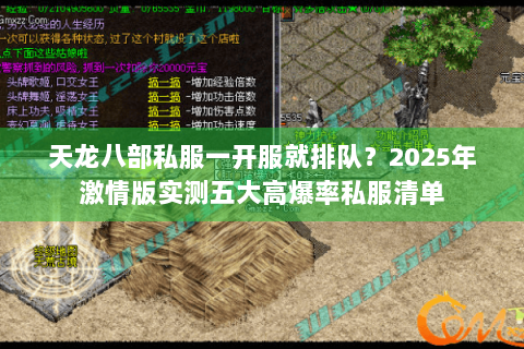 天龙八部私服一开服就排队？2025年激情版实测五大高爆率私服清单
