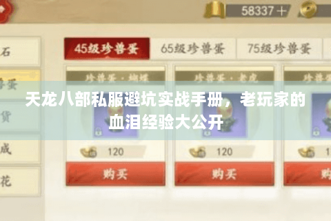 天龙八部私服避坑实战手册，老玩家的血泪经验大公开