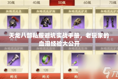 天龙八部私服避坑实战手册，老玩家的血泪经验大公开