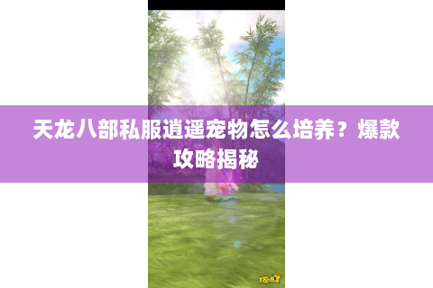 天龙八部私服逍遥宠物怎么培养?爆款攻略揭秘 天龙八部私服逍遥宠物怎么培养?爆款攻略揭秘