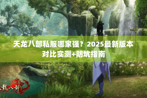 天龙八部私服哪家强？2025最新版本对比实测+防坑指南