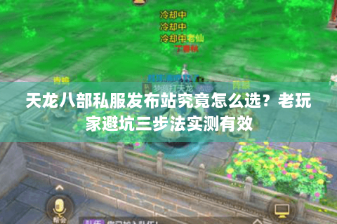 天龙八部私服发布站究竟怎么选?老玩家避坑三步法实测有效 天龙八部私服发布站究竟怎么选?老玩家避坑三步法实测有效
