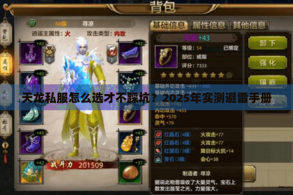 天龙私服怎么选才不踩坑？2025年实测避雷手册