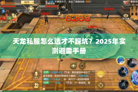 天龙私服怎么选才不踩坑？2025年实测避雷手册