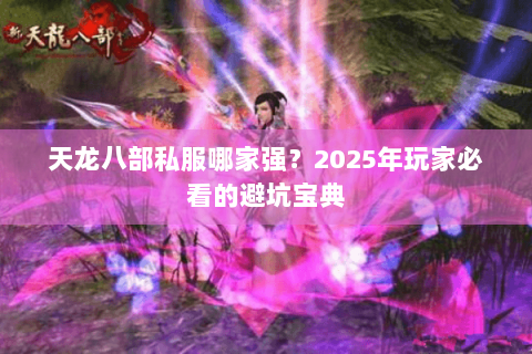 天龙八部私服哪家强？2025年玩家必看的避坑宝典