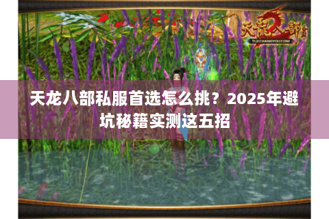 天龙八部私服首选怎么挑？2025年避坑秘籍实测这五招