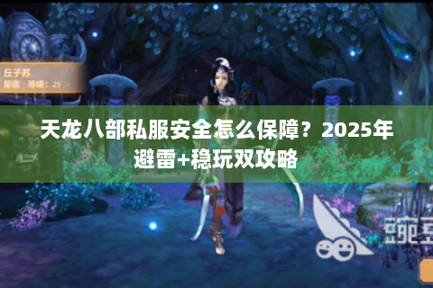 天龙八部私服安全怎么保障？2025年避雷+稳玩双攻略