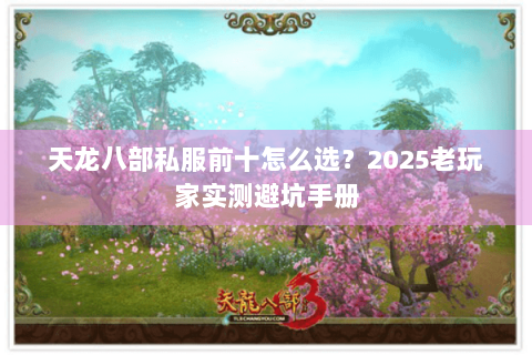 天龙八部私服前十怎么选？2025老玩家实测避坑手册