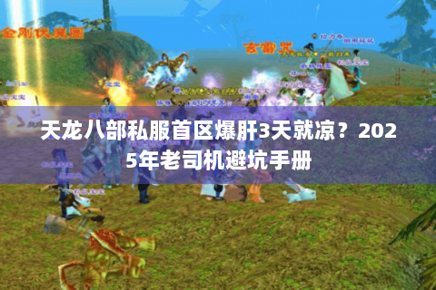 天龙八部私服首区爆肝3天就凉？2025年老司机避坑手册