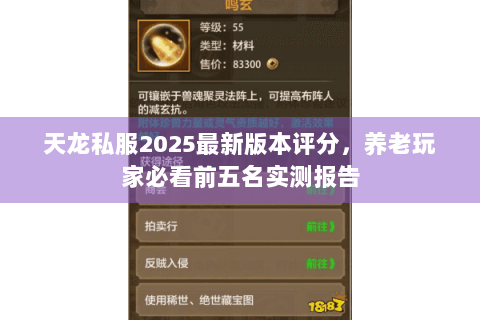 天龙私服2025最新版本评分，养老玩家必看前五名实测报告